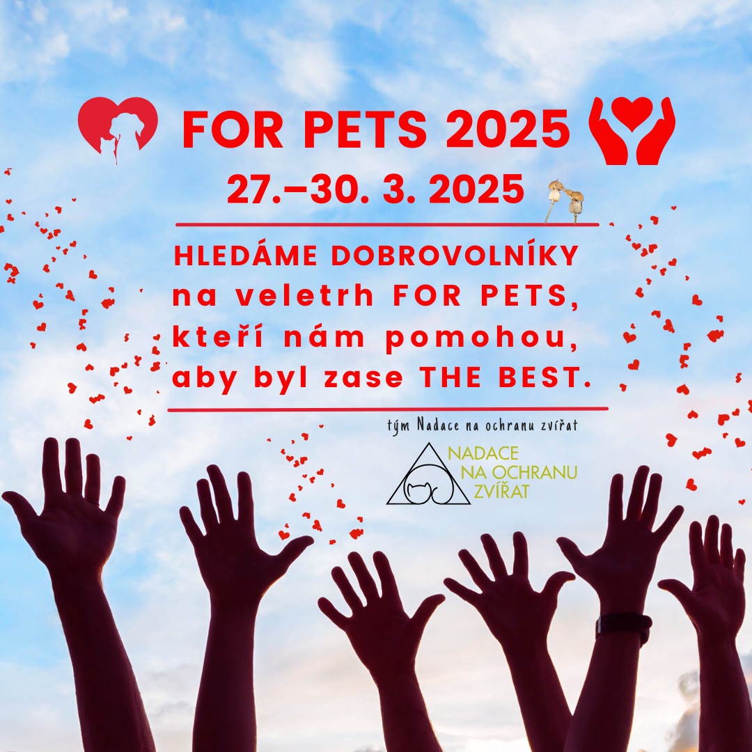 Hledáme dobrovolníky na FOR PETS 2025