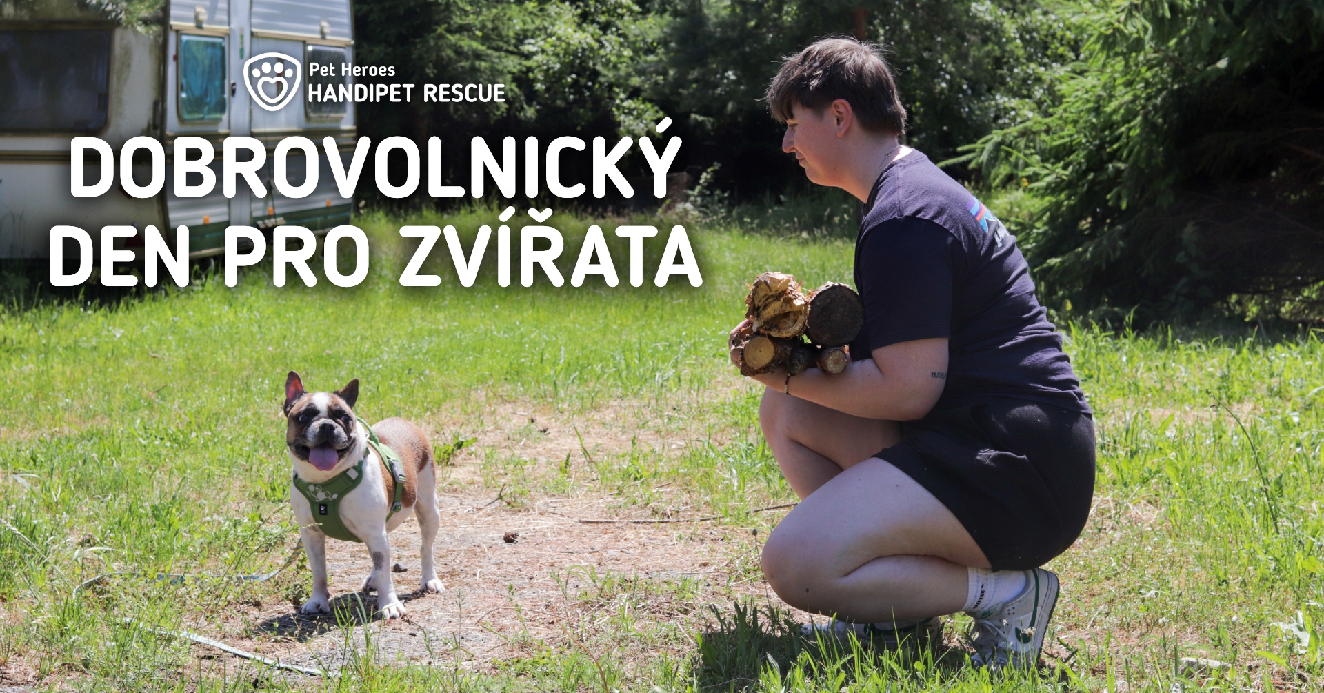 Dobrovolnický den pro zvířata