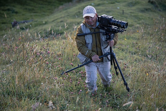 MFDF Ji.hlava hledá stážisty/ky