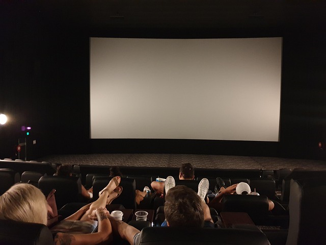 Aussie and Kiwi Film Fest hledá asistenty/asistentky pro koordinátorku školních projekcí